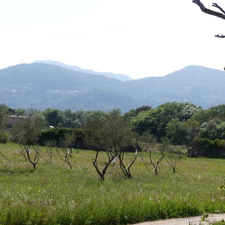Le Charme D'Une Vieille Bastide Provencale Solliès-Pont Exterior foto
